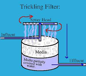 Trickling Filter Sewage Treatment Project at Hawrah