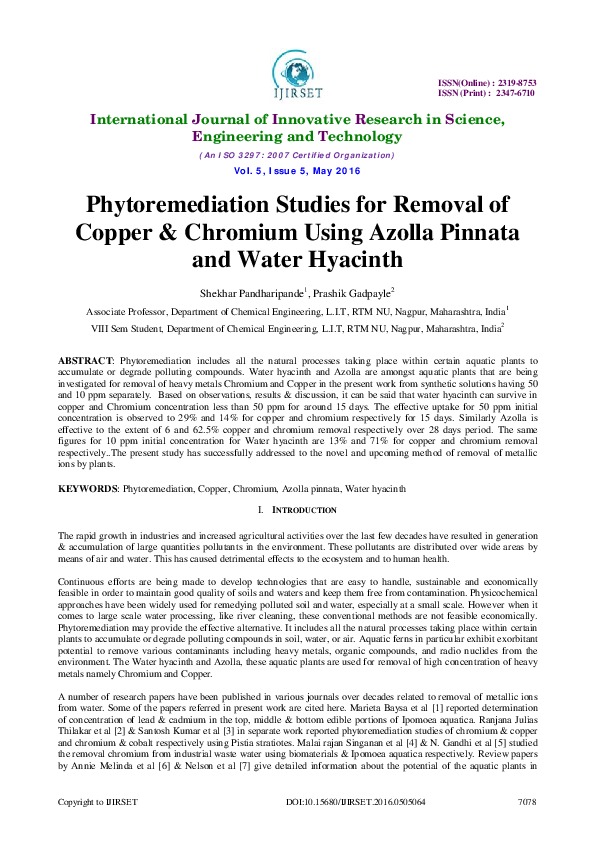 Phytoremediation Studies for Removal of Copper & Chromium Using Azolla Pinnata  and Water Hyacinth