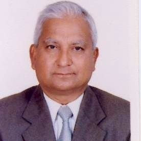 Dhruva Bahadur Shrestha, Independent Consultants