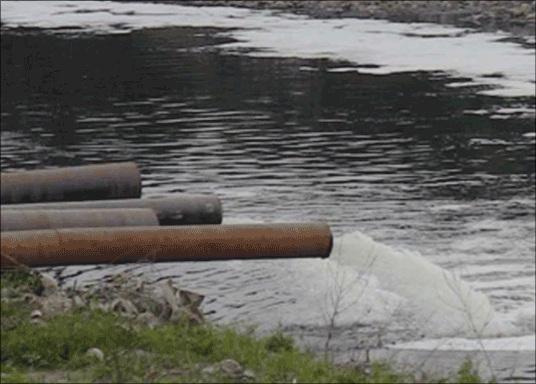 NGT Shuts 13 Polluting Industries Along Ganga River