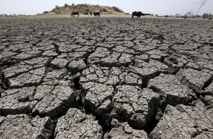 Q&A: 'Waterman' Rajendra Singh loses hope as India runs out of groundwater