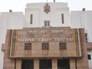 NGT Seeks Complete Data on Sewage Discharged in Ganga