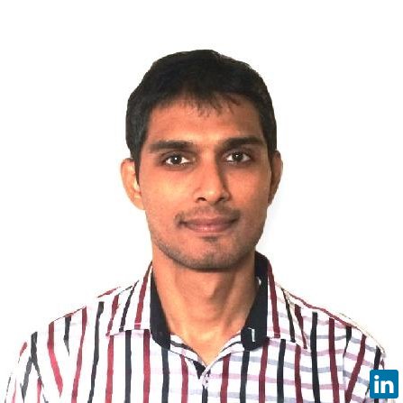 Satyam Chauhan, GIS Technician