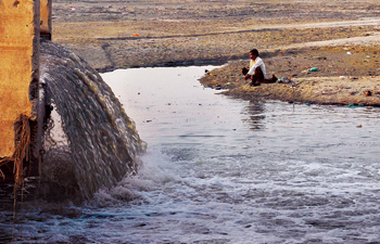 Ganga Rejuvenation Cannot Be Modelled on Foreign Rivers