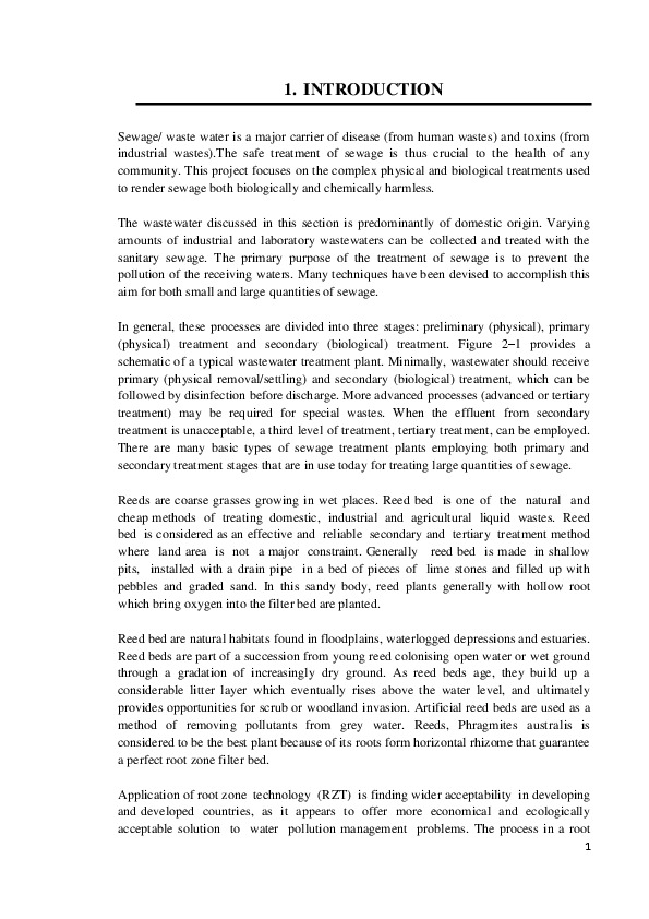 Water Purification using REED Bed System