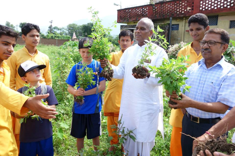 5 States Launching Massive Plantation Drive along River Ganga