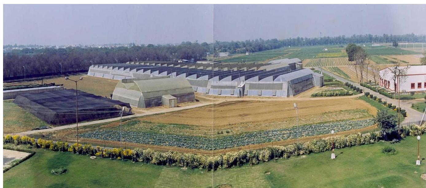 Centre for Protected Cultivation Technology, IARI