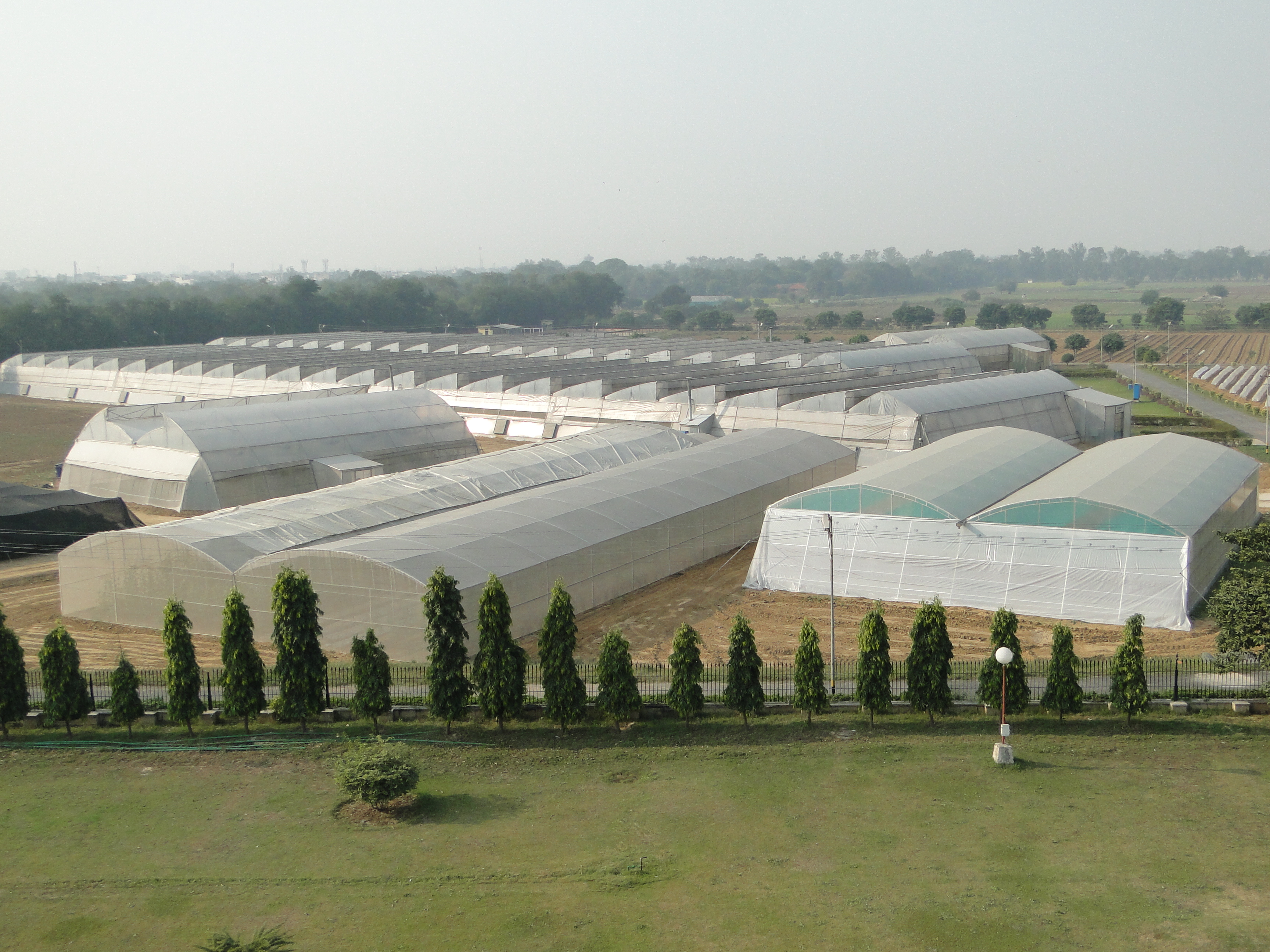 Centre for Protected Cultivation Technology, IARI