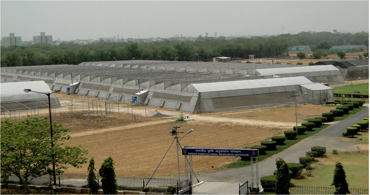 Centre for Protected Cultivation Technology, IARI