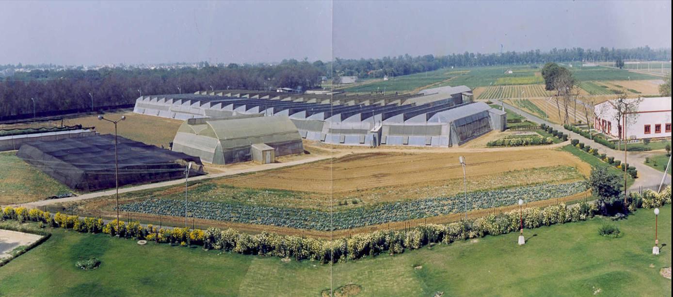 Centre for Protected Cultivation Technology, IARI