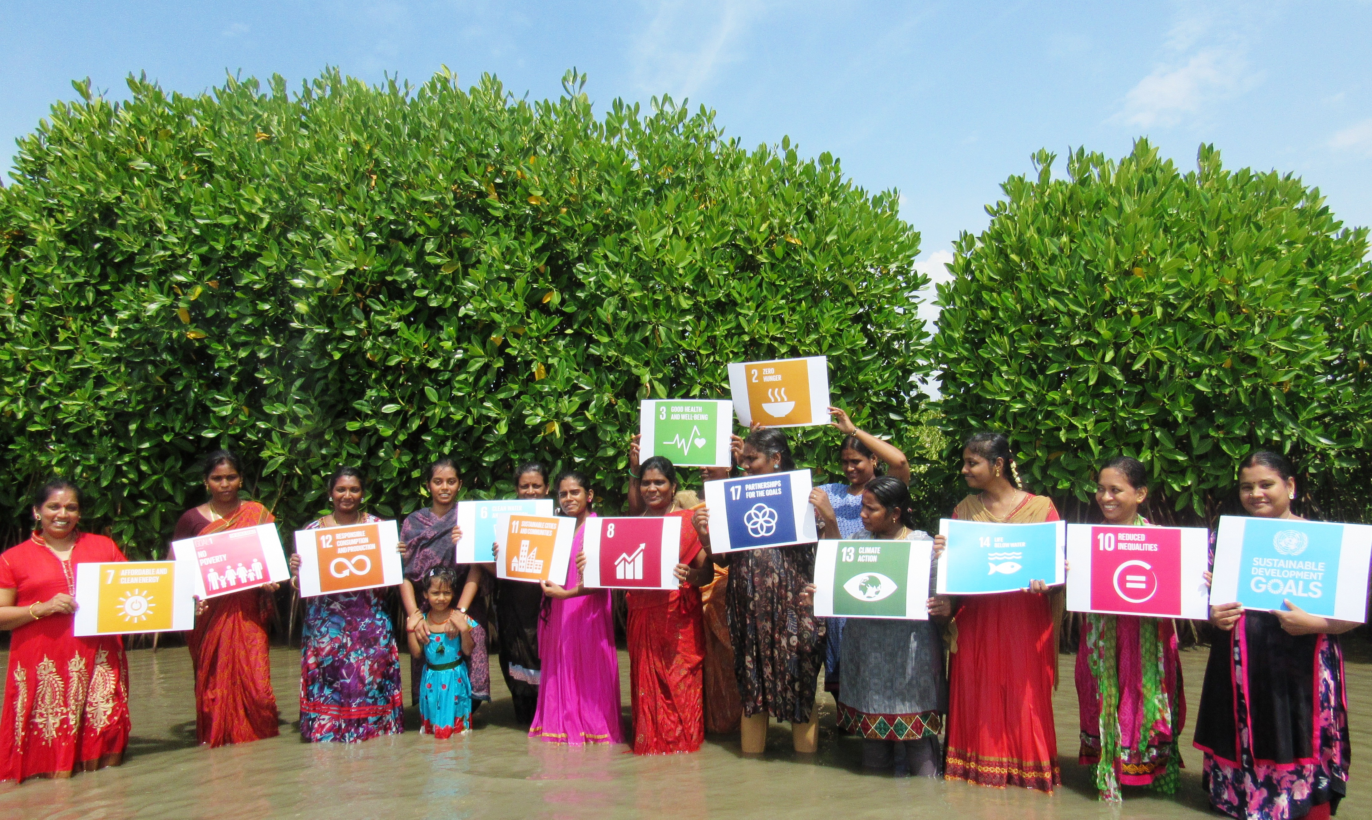 Conserve Mangroves  Cuddalore ...