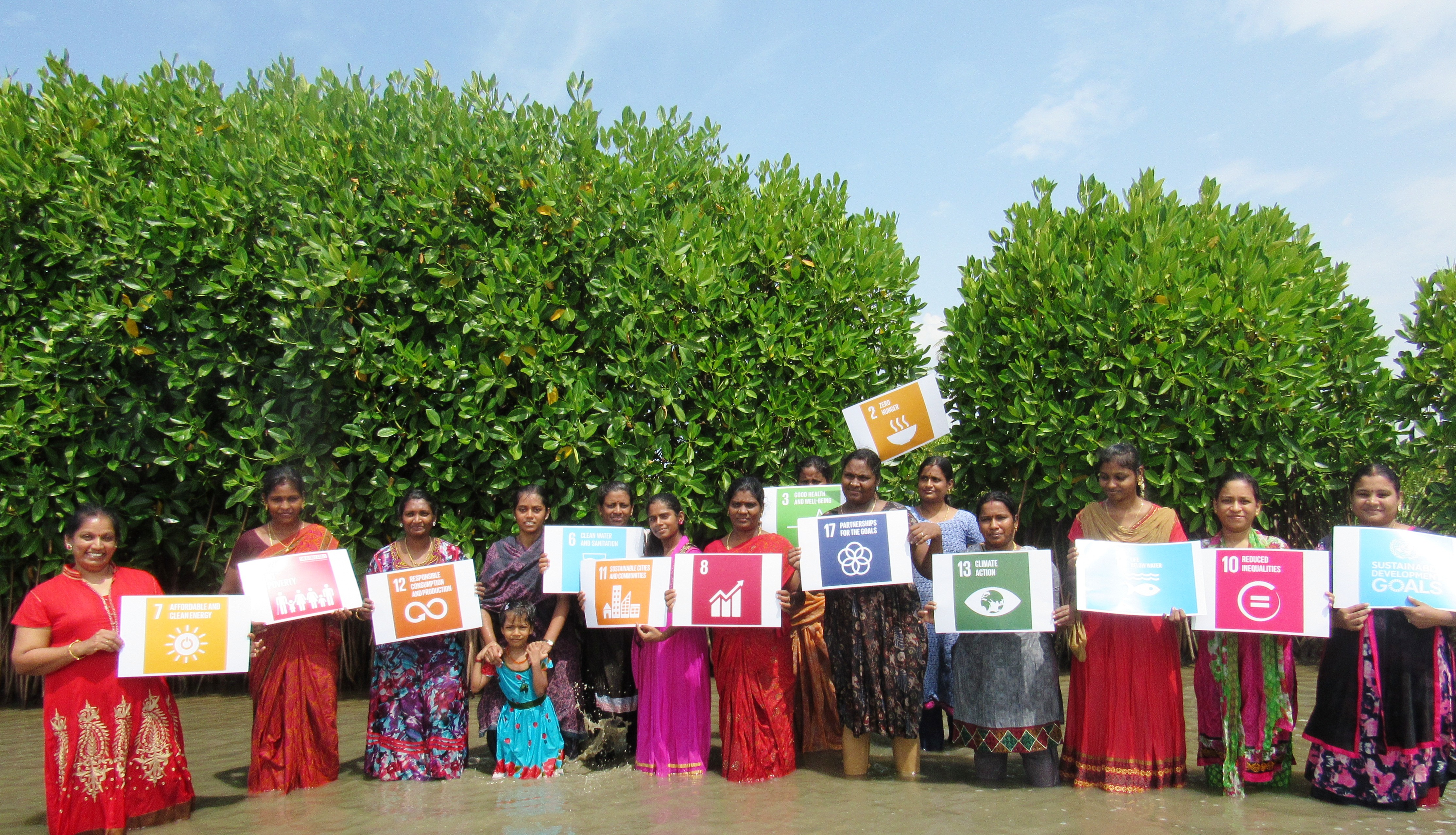 Conserve Mangroves  Cuddalore ...
